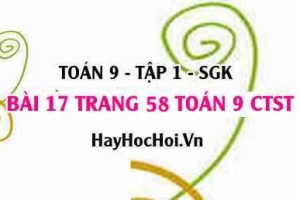 Bài 17 trang 58 Toán 9 tập 1 Chân trời sáng tạo
